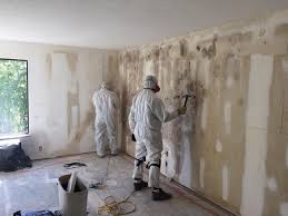 Best Water Damage & Mold Remediation in The Plains, OH